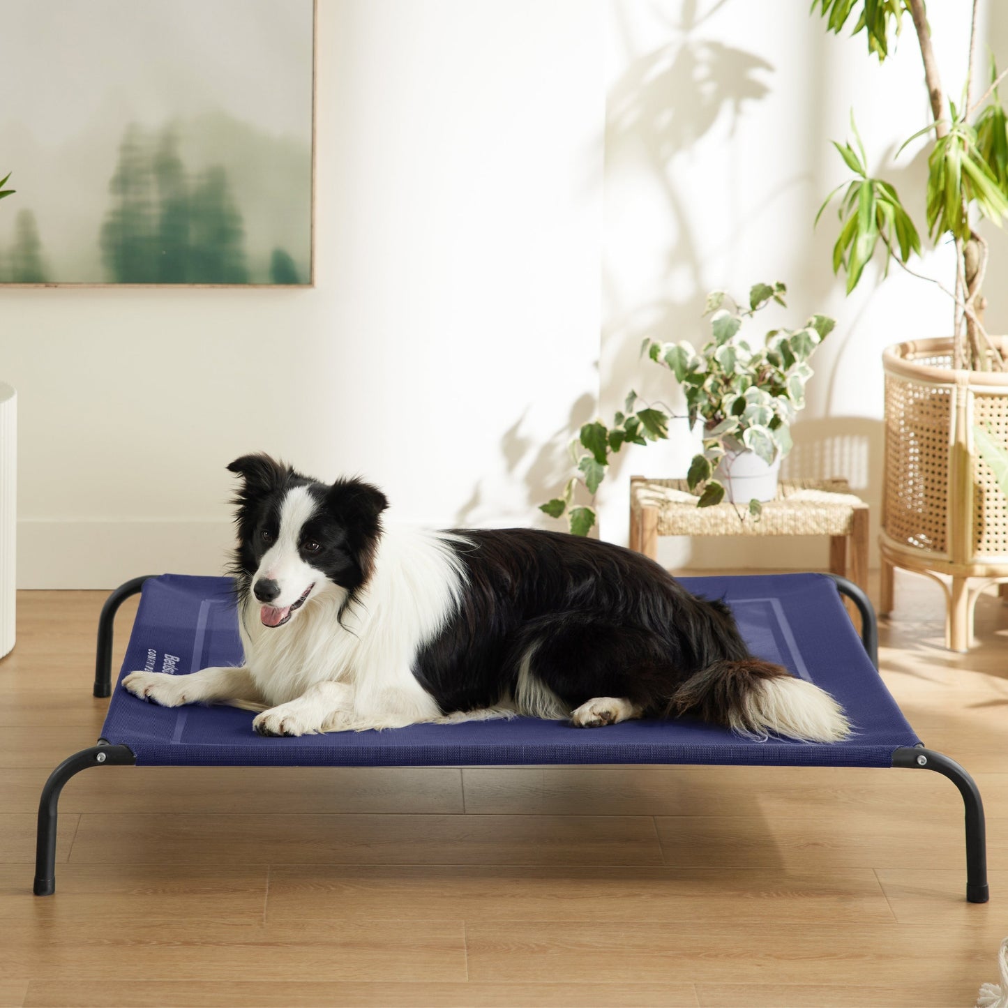 Elevated Dog Bed