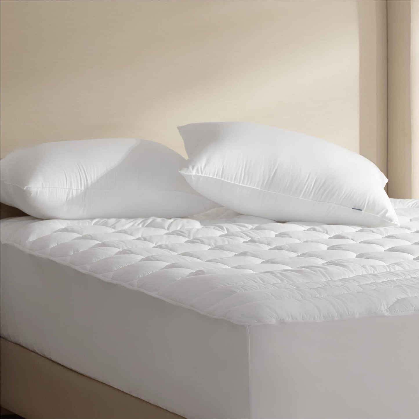 Hotel Pillows