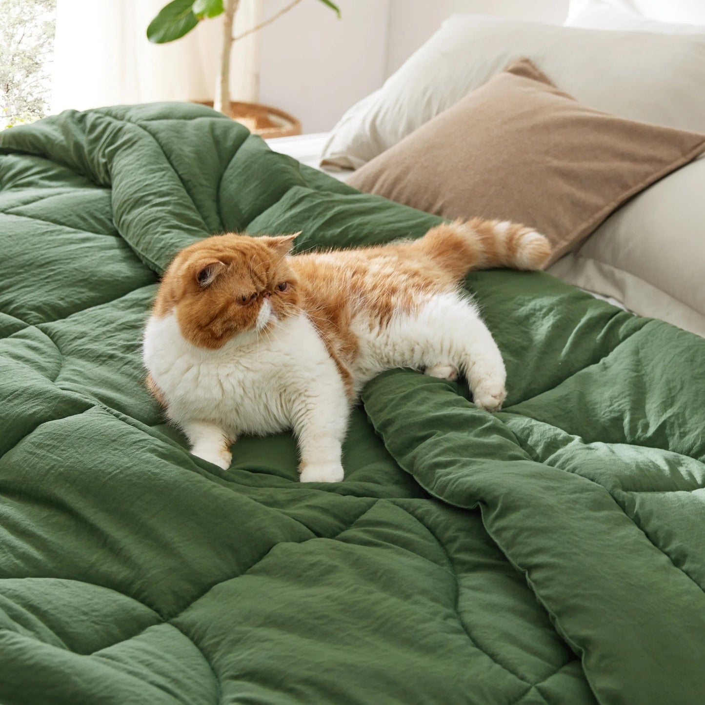 Prewashed Quilted Comforter