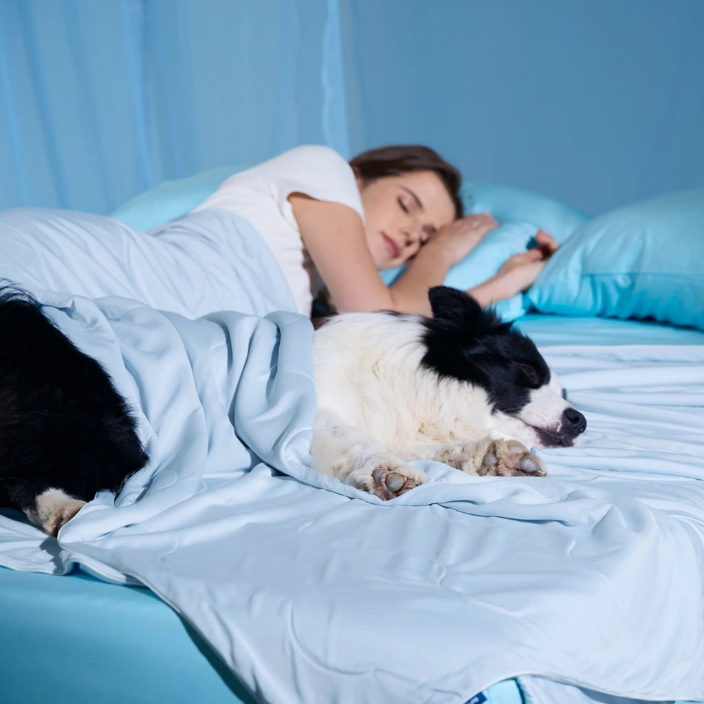 Cooling & Breathable Lightweight Pet Blanket