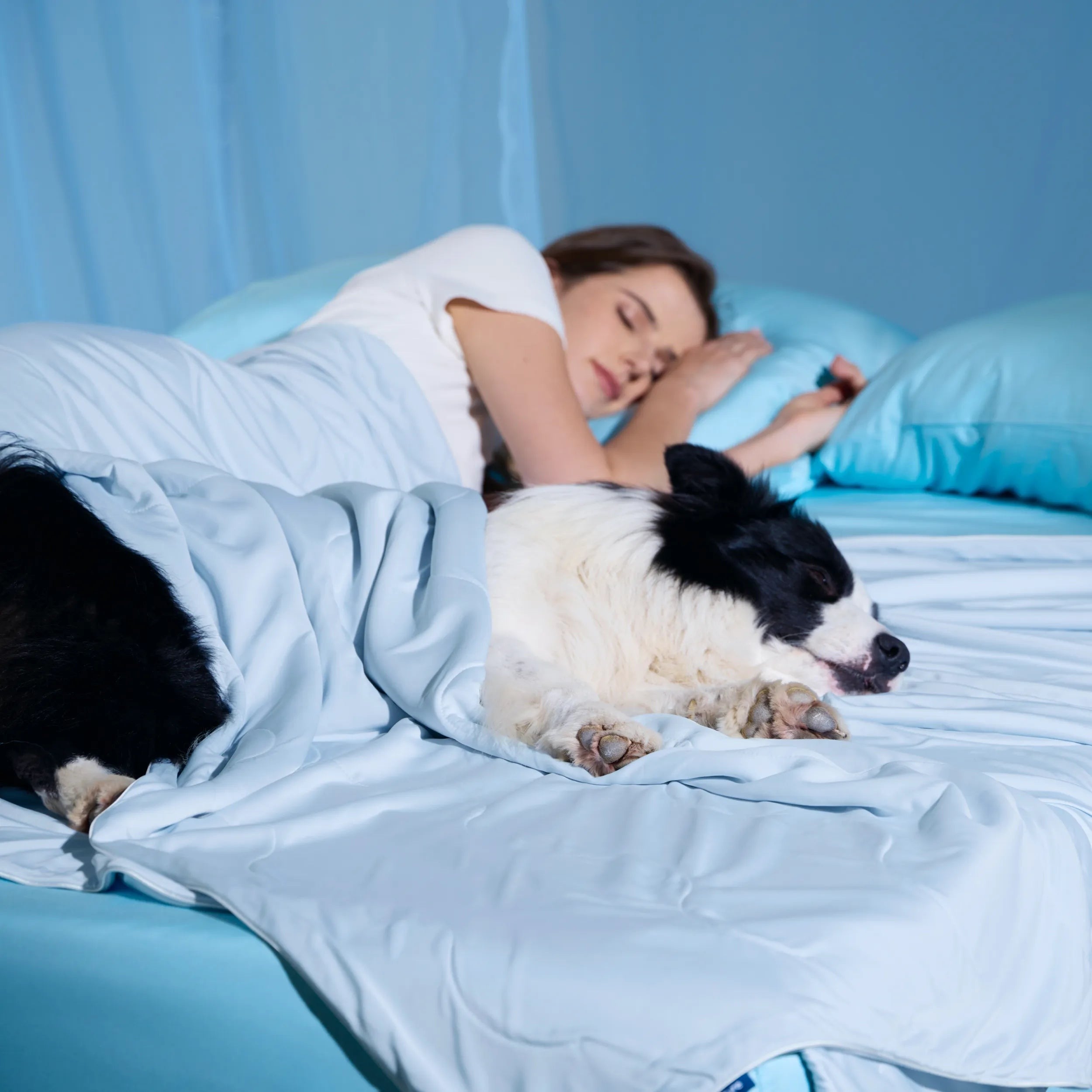 Cooling & Breathable Lightweight Pet Blanket