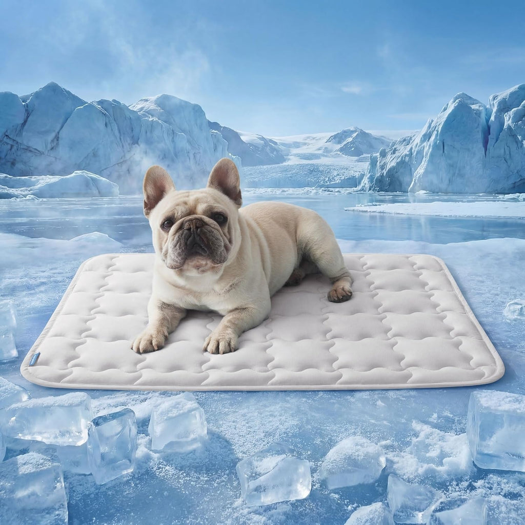 Cooling Dog Mat