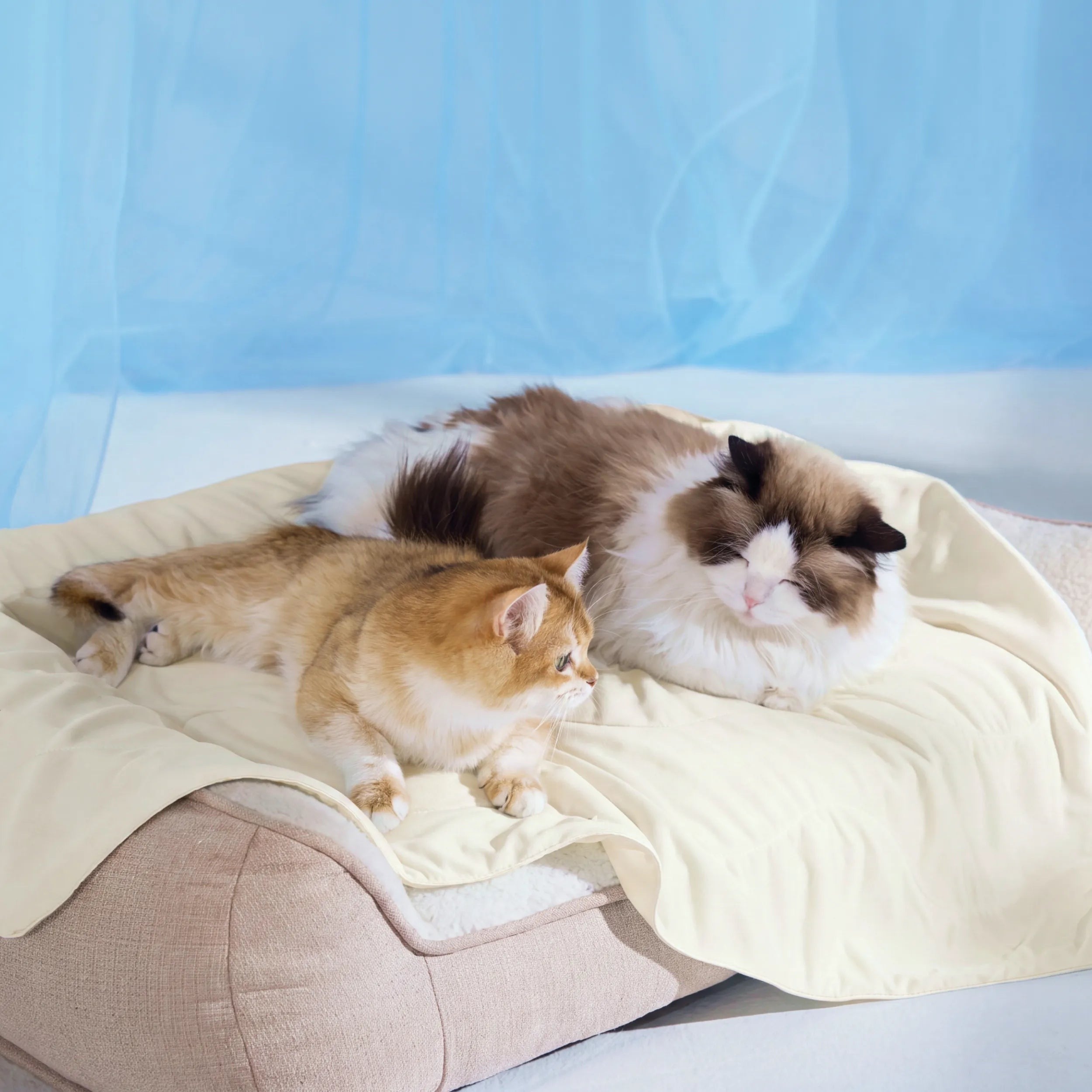 Cooling & Breathable Lightweight Pet Blanket