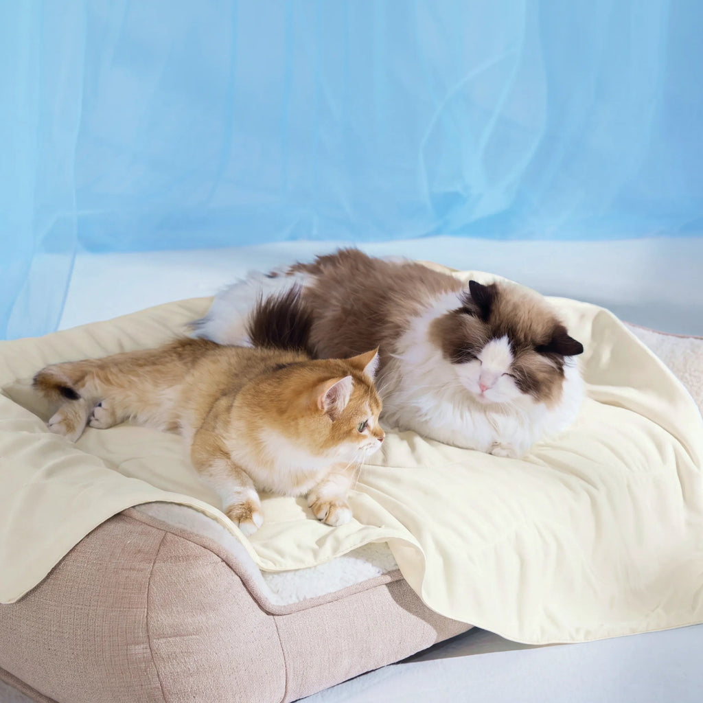 Cooling & Breathable Lightweight Pet Blanket