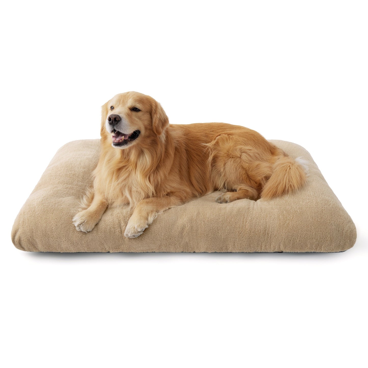 Fluffy Dog Mat