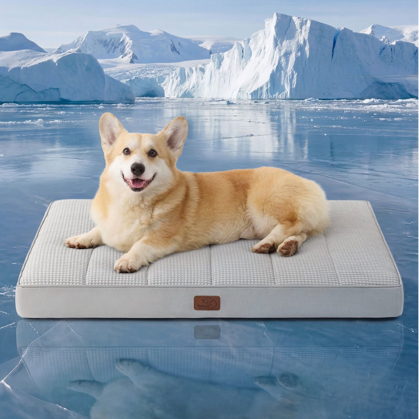 Orthopedic Cooling Dog Bed
