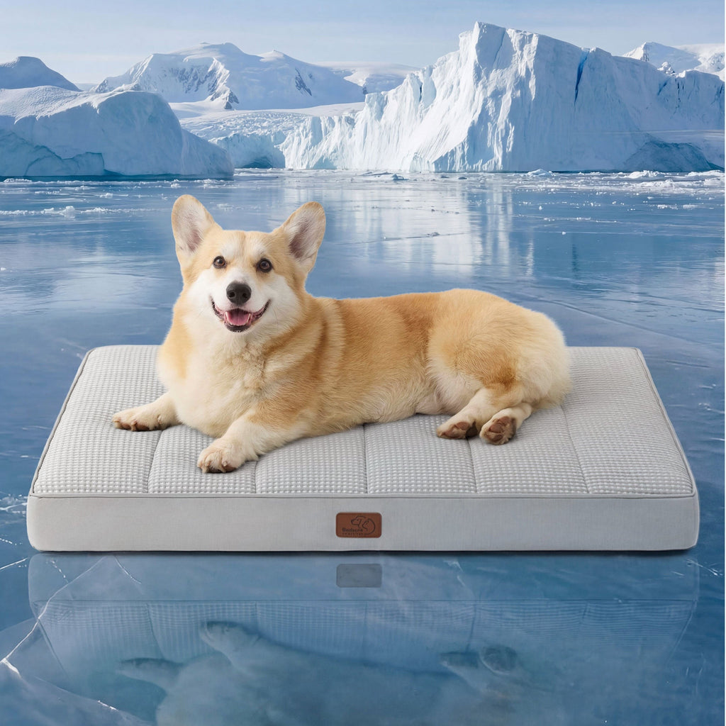 Orthopedic Cooling Dog Bed