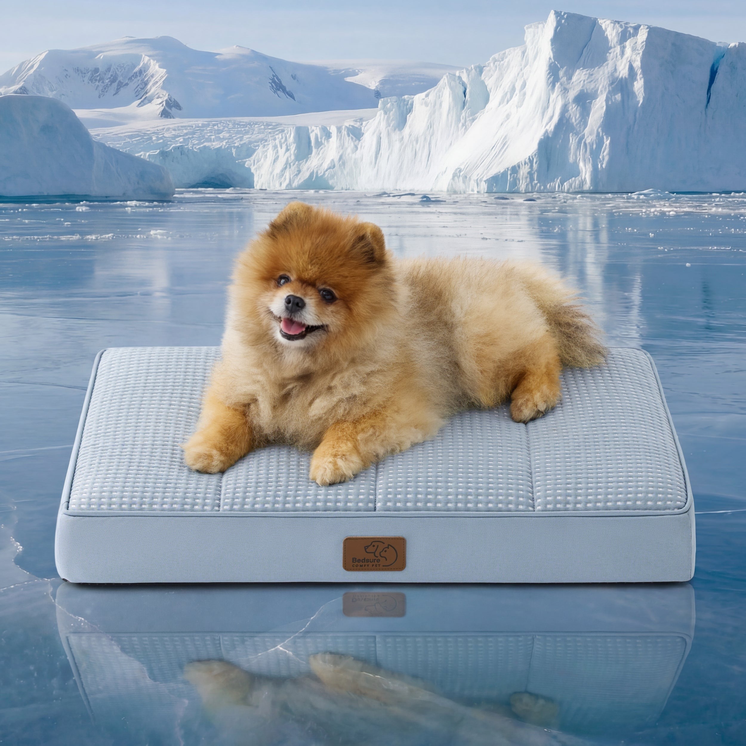 Orthopedic Cooling Dog Bed