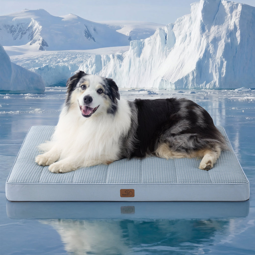 Orthopedic Cooling Dog Bed