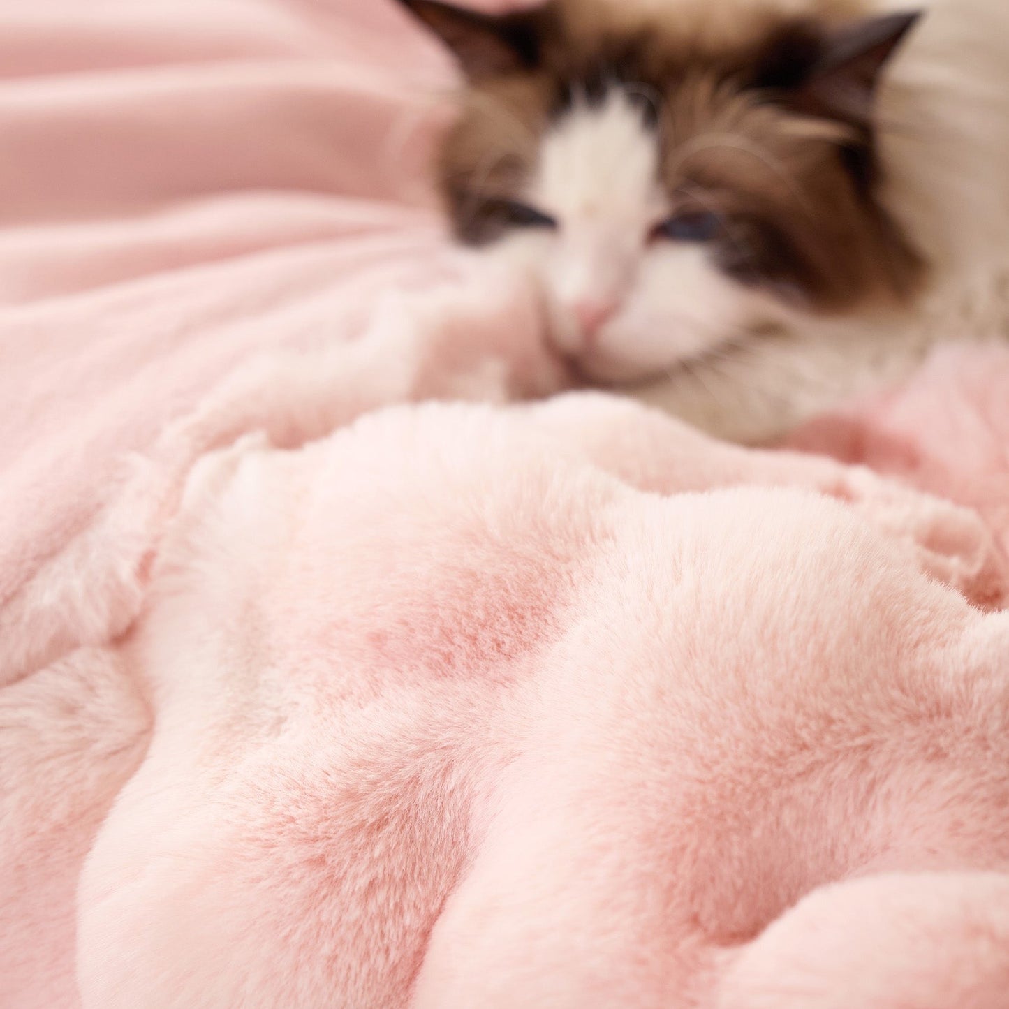 Bubble Faux Fur Blanket