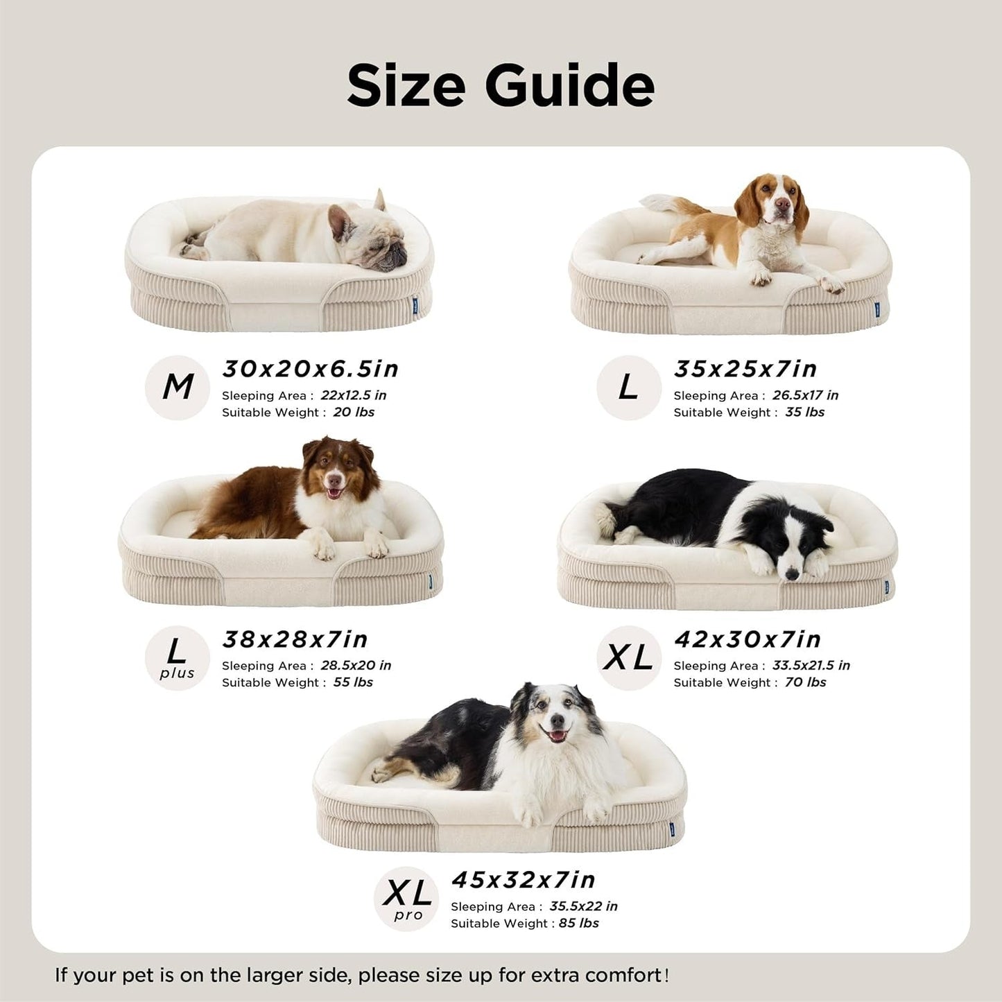 Oval Bolster Dog Bed