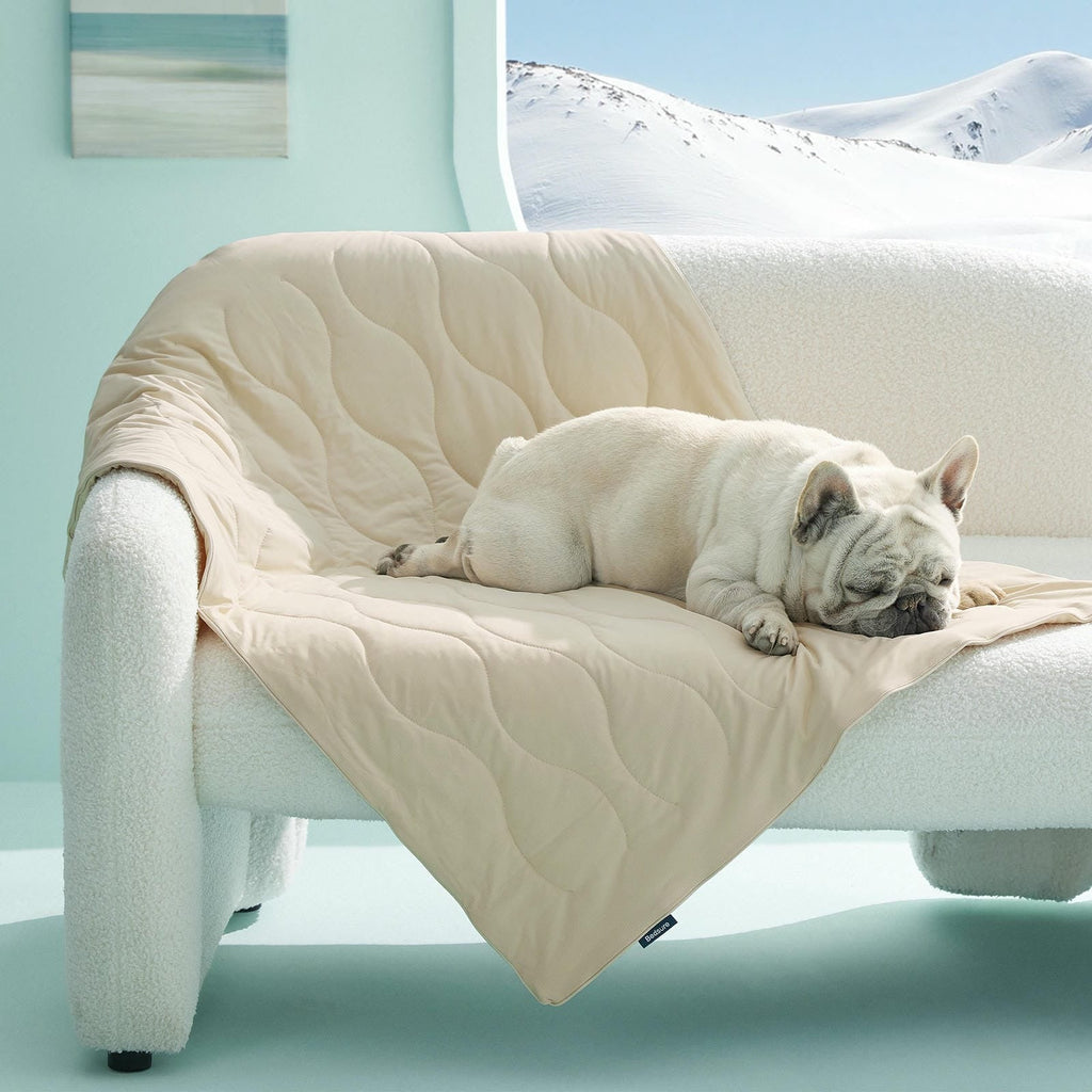Textured Pet Cooling Blanket